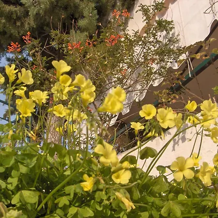 Ξενοδοχείο San Michele *